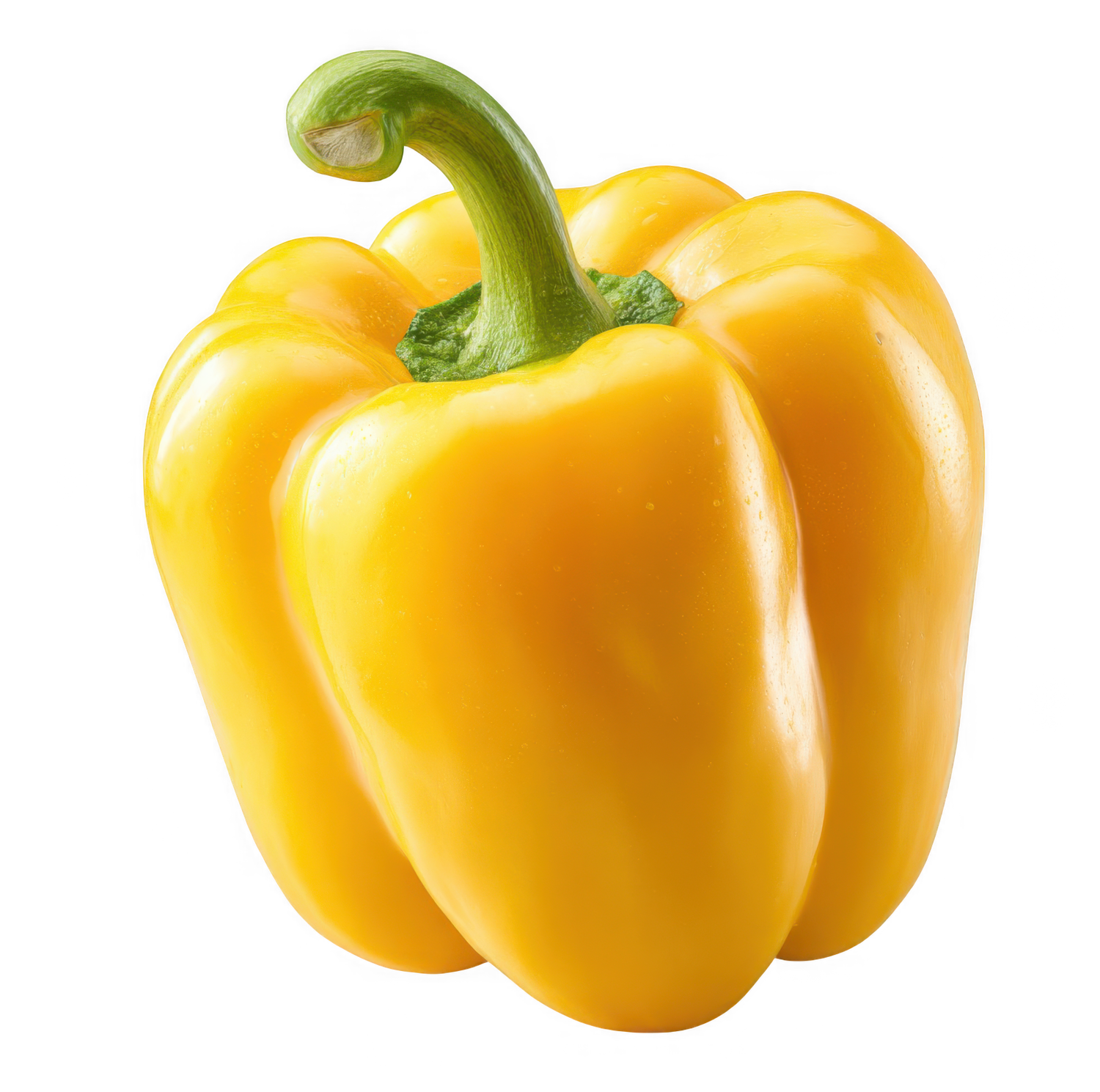 Floating vegetable illustration in hero background