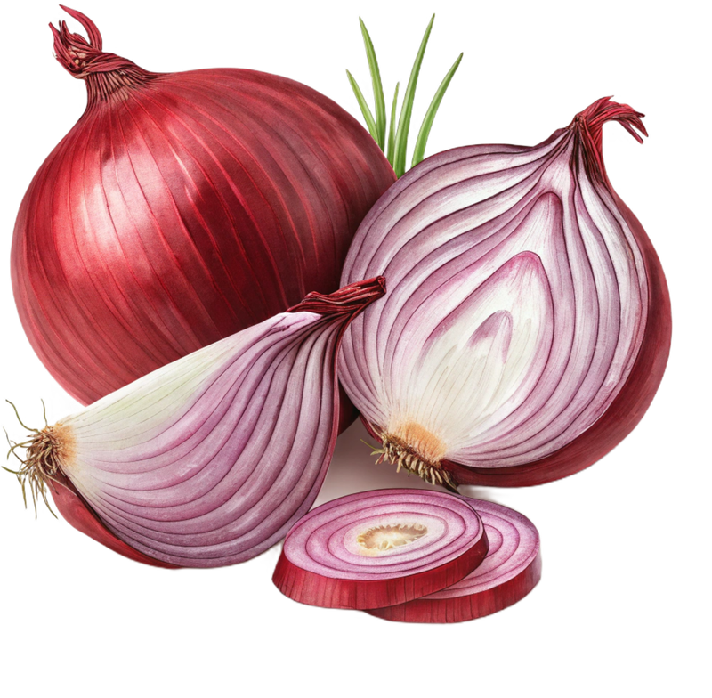 Floating vegetable illustration in hero background